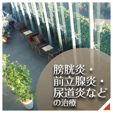 膀胱炎、前立腺炎、尿道炎などの治療バナー