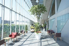 やすだ泌尿器科クリニック　クリニックビルエントランスの写真