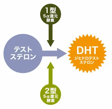 DHTが作られるまで