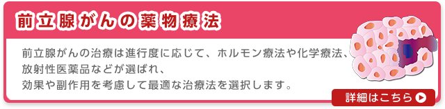 前立腺がんの薬物療法